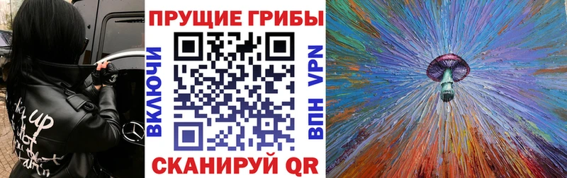 Псилоцибиновые грибы прущие грибы  Нязепетровск 